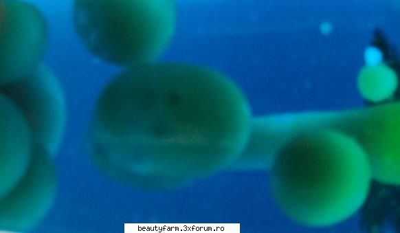 Exoorganisme fascinante descoperite in stratosfera Pamantului - O misiune indiana de explorare - WORLD CAFFE