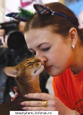 Expozitie de pisicute sofisticate la Bucuresti - ADMIN-ELECTRIK_CAT - ELECTRIK CATS