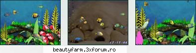 FISH AQUARIUM 3D SCREENSAVER - FREE DOWNLOAD - DESCARCA GRATIS : SCARICA GRATIS : DESCRIPTION - SCREEN SAVERS