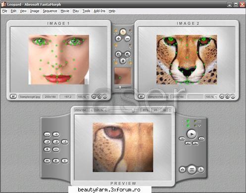 FantaMorph Deluxe Multilingual-free download soft descarca gratis - FantaMorph Deluxe 4.1 - SOFT-URI
