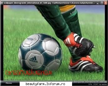 Fast Picture Viewer Unattended Edition-free download soft - Free Full Download from Rapidshare - SOFT-URI