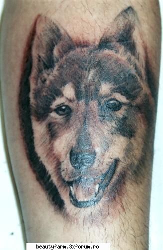 GALLERY TATTOO - ADMIN-ELECTRIK_CAT - STRANGE PICS