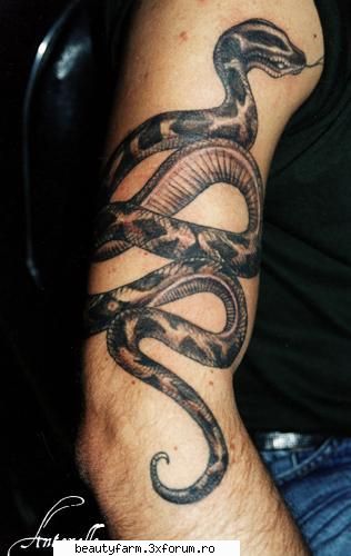 GALLERY TATTOO - ADMIN-ELECTRIK_CAT - STRANGE PICS