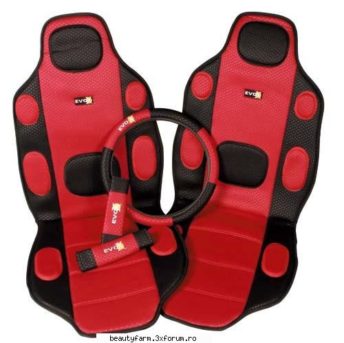 HUSE SI SCAUNE SPORTIVE - IAR PT CEI CARE SUNT MAI COMOZI EXISTA SI HUSELE - TASTE THE ITALIAN STYLE - ZONDA