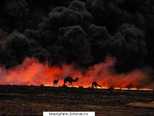Iarna nucleara - Dezastrele naturale nu reprezinta insa singurul - WORLD CAFFE