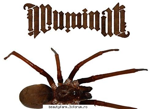 Illuminati � Stapanii din umbra - Totusi, succesul lor mondial nu se bazeaza pe - WORLD CAFFE