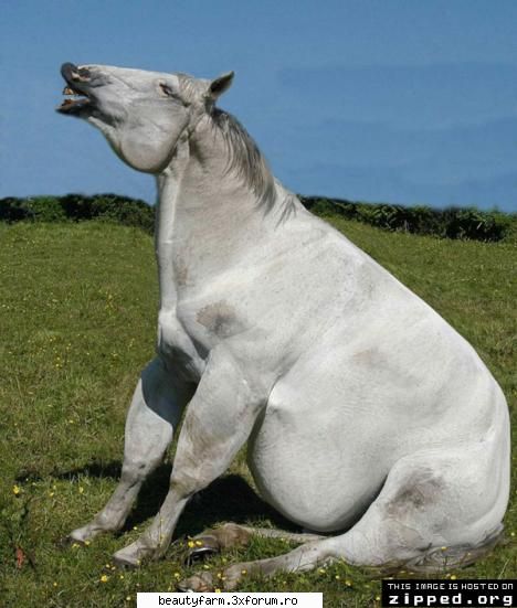 It is so big - nici_de_cum - ALTE ANIMALE