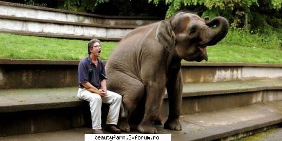 It is so big - Khivu - ALTE ANIMALE