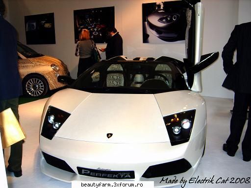 LUXURY & YACHT - EXPOZITIE INCREDIBILA - LAMBORGHINI ALB - THE ART SIDE OF YOU