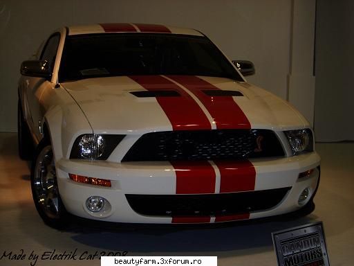 LUXURY & YACHT - EXPOZITIE INCREDIBILA - UN MUSTANG RAMANE UN MUSTANG - THE ART SIDE OF YOU