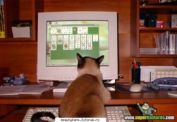 La birou - ADMIN-ELECTRIK_CAT - ELECTRIK CATS