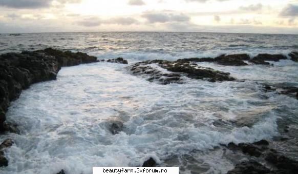 Lipsa de oxigen va transforma oceanul planetar intr-un cimitir mlastin - Lipsa de oxigen va tran - WORLD CAFFE