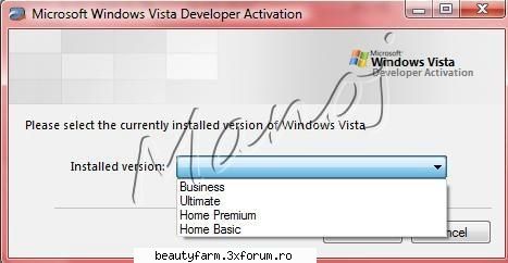 MS Windows Vista Developer Activation - Free Full Download from Rapidshare Megaupload - SOFT-URI