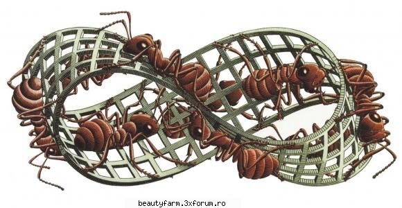 Maurits Cornelis Escher desene - ADMIN-ELECTRIK_CAT - STRANGE PICS