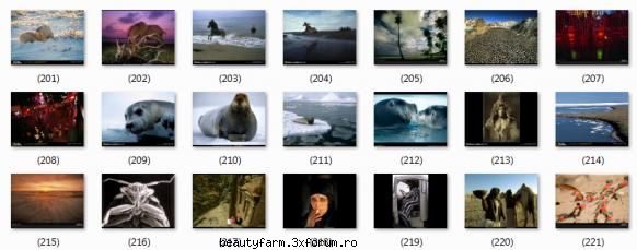 National Geographic Wallpapers 05 - ADMIN-ELECTRIK_CAT - SCREEN SAVERS