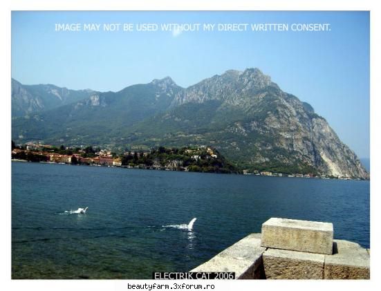 ORIGINAL STOCK - Poze originale facute de voi - (__/) (*..*) (')_(') Clic aici - THE ART SIDE OF YOU