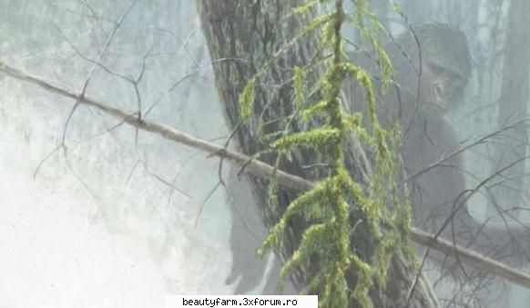 O alta specie hominida ar putea exista in Rusia - O alta specie hominida ar putea exista in - COOL STUFF