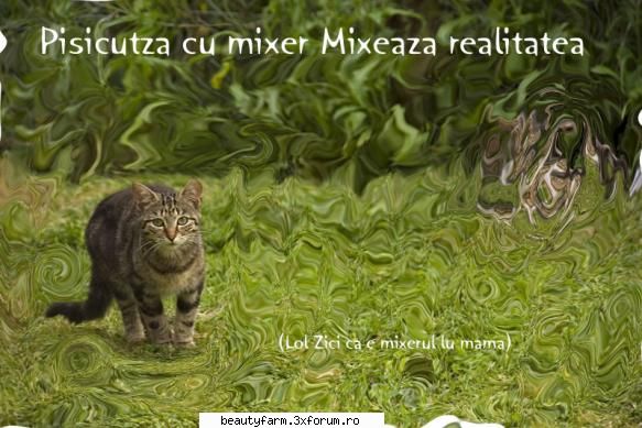 O asemanoare dubioasa........ - Deci intr-o zi yo si prietenul meu Adobe - ELECTRIK CATS