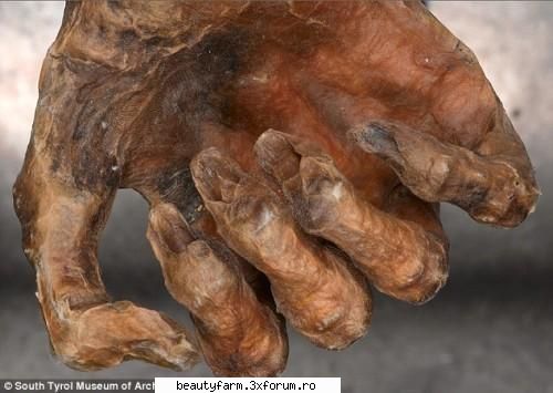 Otzi, omul gheturilor, ajunge online - Otzi a fost descoperit in gheata de catre o - WORLD CAFFE