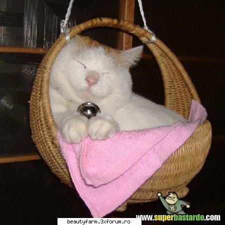 Relax - eu peste putin timp - ELECTRIK CATS