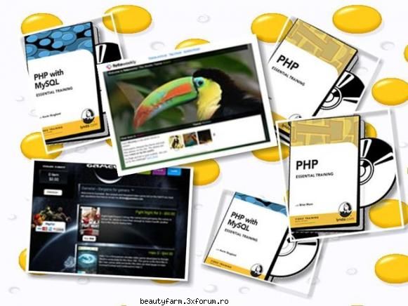 SQL Essential Training - SQL Essential Training down-load Whatever a - FLASH,HTML,JAVA SCRIPT,PHP...