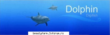 Screensaver DigiFish Dolphin 1.02-free download - Screensaver DigiFish Dolphin 1.02 | 33 MB - SCREEN SAVERS