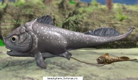 Sexul este mai vechi decat credeau oamenii de stiinta - Sexul este mai vechi decat credeau oamenii de - SEXY
