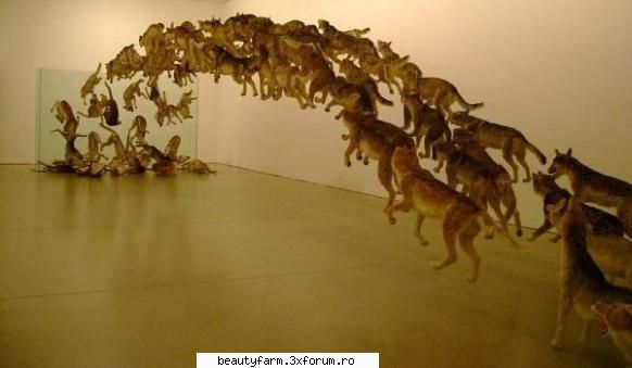 Socanta arta a extinctiei speciilor - Socanta arta a extinctiei speciilor Artistul - COOL STUFF