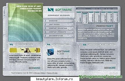 software company template 

  software company template