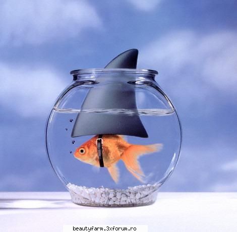 Special - Lil' fella...good thinkin' - STRANGE PICS