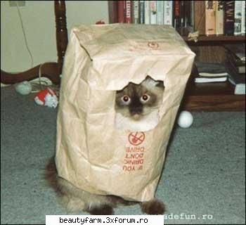 Special - sa va fie mila de animale - STRANGE PICS