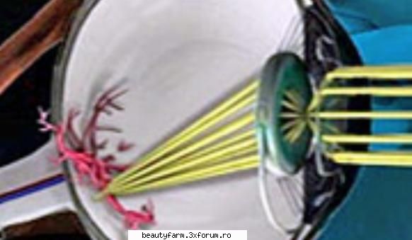 Un britanic are doua lentile implantate in ochi - Un britanic are doua lentile implantate in - COOL STUFF