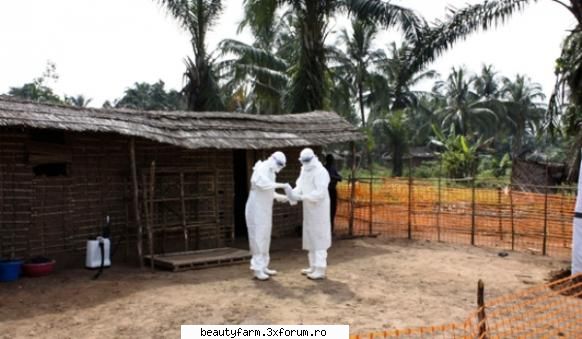 Un nou virus periculos a fost descoperit in Africa - Un nou virus periculos a fost descoperit in - COOL STUFF