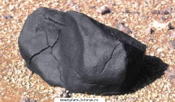Urme de �viata� �la bordul� unui meteorit - Urme de �viata� �la bordul� unui meteorit Urme de - COOL STUFF