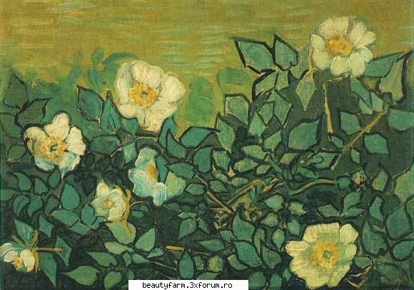 Van Gogh - picturi tablouri arta - ADMIN-ELECTRIK_CAT - STRANGE PICS