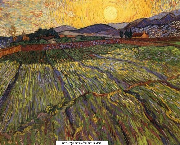 Van Gogh - picturi tablouri arta - ADMIN-ELECTRIK_CAT - STRANGE PICS