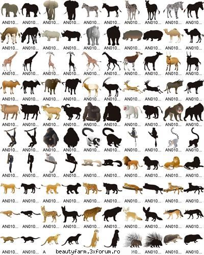 Vector clipart - Mammal in Africa-free download - 100 EPS Vector Files + JPG - FLASH,HTML,JAVA SCRIPT,PHP...