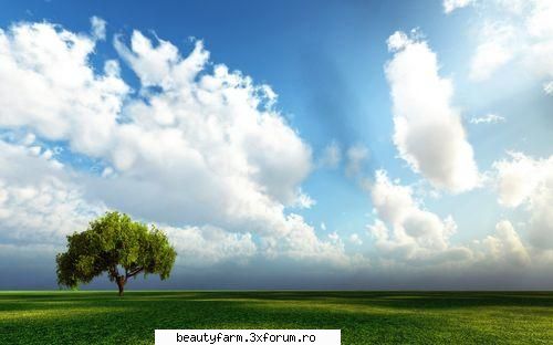 Very nice wallpaper - Very nice wallpaper down-load - SCREEN SAVERS