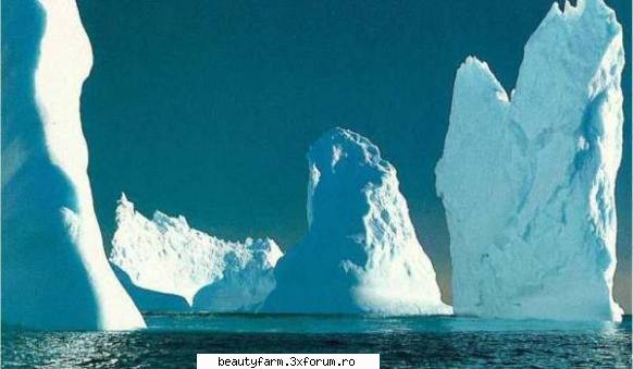 Vesti bune si rele despre Antarctica - Vesti bune si rele despre Antarctica Vestea buna - WORLD CAFFE
