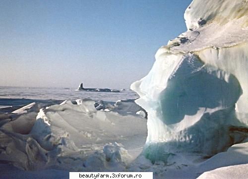Vesti bune si rele despre Antarctica - Procesul nu este unul singural, el repetandu-se - WORLD CAFFE