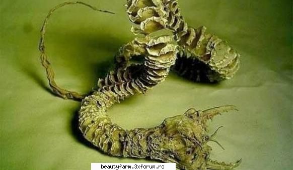 Viermele Mortii - Viermele Mortii Ciudata creatura traieste sub - ALTE ANIMALE