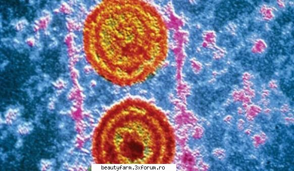 Virusul-killer care ucide tumorile - Virusul-killer care ucide tumorile Un virus - SANATATE