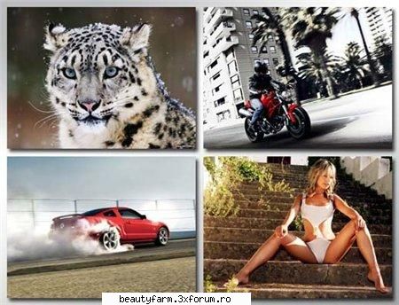 Wallpapers Pack 20-free download - Wallpapers Pack 20 down-load - SCREEN SAVERS