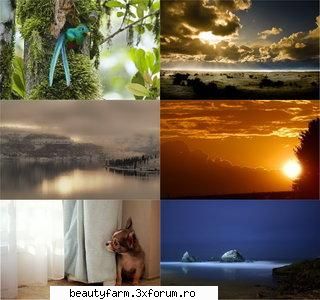 Wide wallpapers 3-free download - Wide wallpapers 3 - SCREEN SAVERS