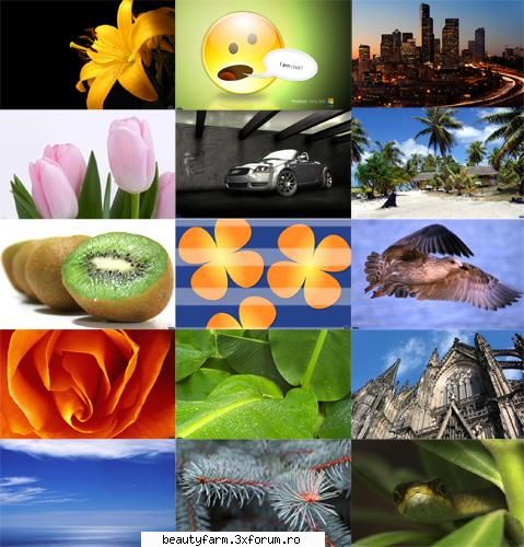 Widescreen wallpapers-free download descarca gratis - 241 JPEG / 1280*800,1920* dpi / 72.7mb - SCREEN SAVERS