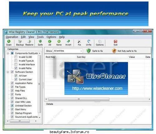Wise Registry Cleaner Pro -download free soft descarca gratis - Wise Registry Cleaner Pro Wise - SOFT-URI