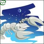 ZODIACUL EUROREAN - Zodiac european, zodia rac: caracteristici - WORLD CAFFE