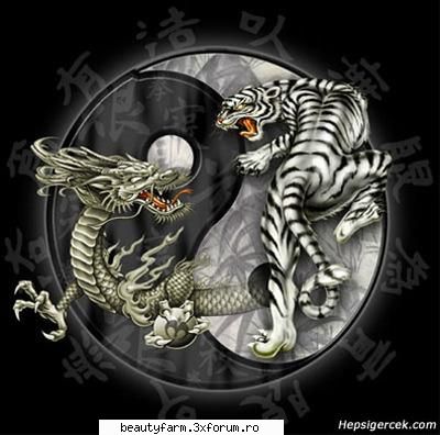 alb sau negru? - Google Ying sau Yang? - COOL STUFF