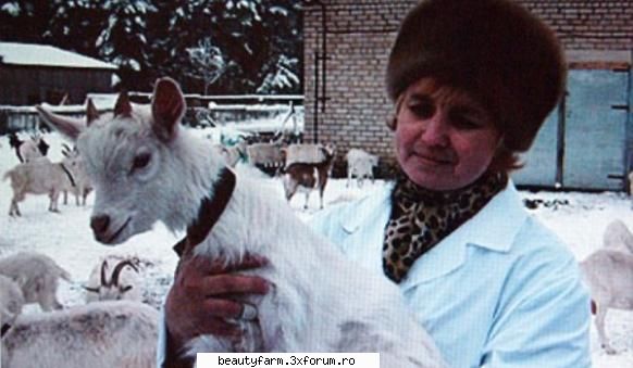 caprele care dau lapte uman - caprele care dau lapte uman Incredibila stire a - ALTE ANIMALE