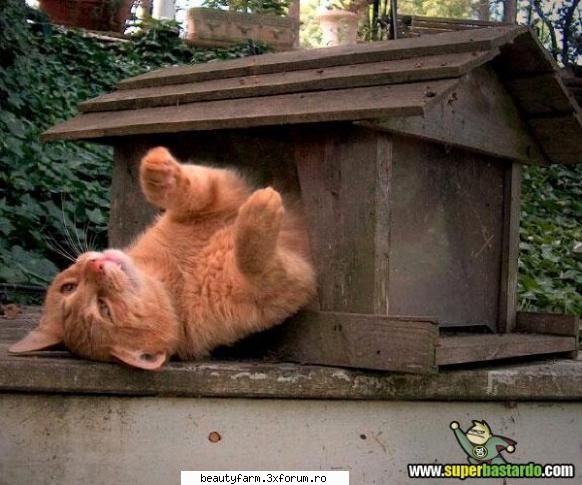 expropiere - ADMIN-ELECTRIK_CAT - ELECTRIK CATS